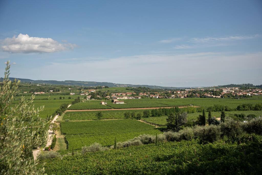 Monolocale Moderno Valpolicella Verona - Agni San Pietro In Cariano Esterno foto